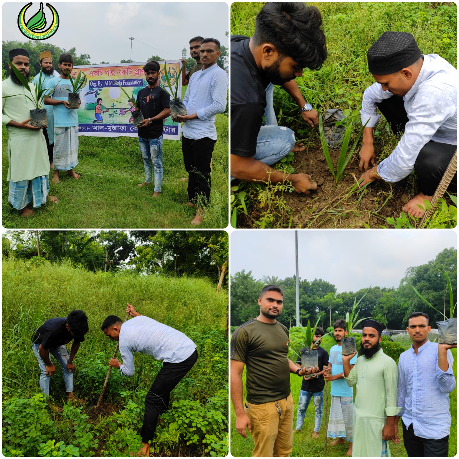 Tree Plantation